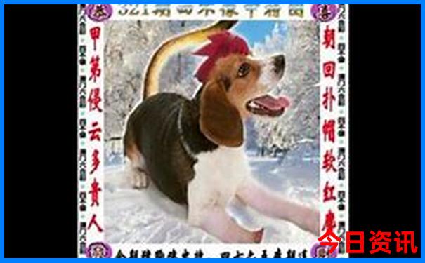 重庆旅游3天最佳线路